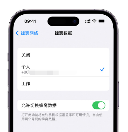 醴陵苹果维修服务分享如何在iPhone上使用双卡 